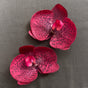 Orchid Bloom Shoe Clip & Earrings